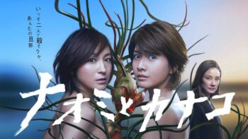 ドラマ【ナオミとカナコ】感想