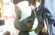 hiyokko71-いちこ