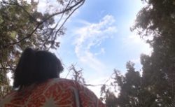 naotora23-雲
