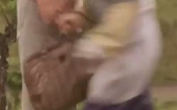 hiyokko111-バッグ