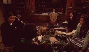 hiyokko-154コスモス