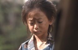 naotora48-自然
