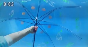 hanbunaoi-ビニール傘