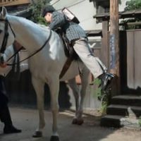 まんぷく--蘭丸