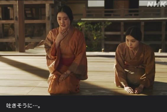 大河ドラマ【どうする家康】感想　第10回 「側室をどうする！」