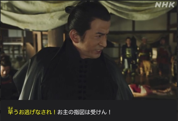 大河ドラマ【どうする家康】感想　第13回・14回