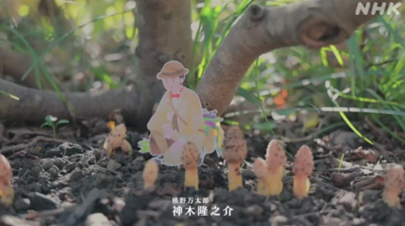 NHK朝ドラ【らんまん】感想　第1回