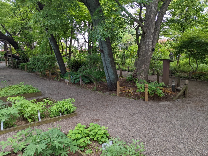 牧野記念庭園