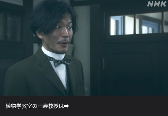 NHK朝ドラ【らんまん】感想　第32回 (第7週　火曜日)