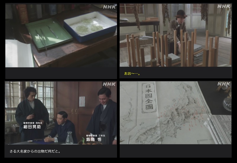 NHK朝ドラ【らんまん】感想　第32回 (第7週　火曜日)