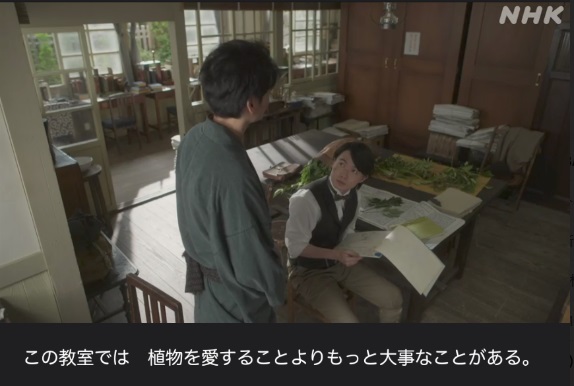 NHK朝ドラ【らんまん】感想　第38回 (第8週　水曜日)