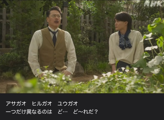 NHK朝ドラ【らんまん】感想　第52回 (第11週　火曜日)