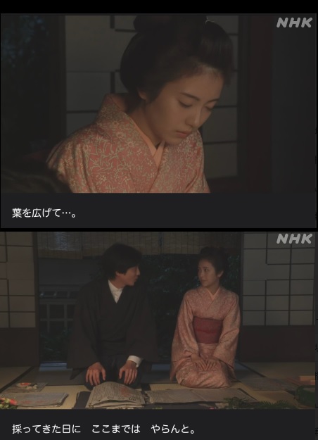 NHK朝ドラ【らんまん】感想　第63回 (第13週　水曜日)