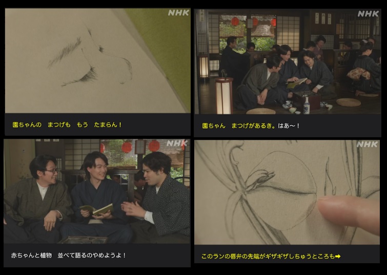NHK朝ドラ『らんまん』感想　第81回 (第17週　月曜日)