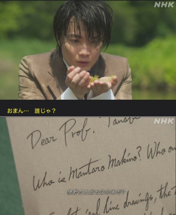 NHK朝ドラ『らんまん』感想 第83回 (第17週 水曜日)