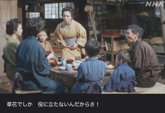 NHK朝ドラ『らんまん』感想　第105回 (第21週　金曜日)