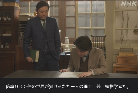 NHK朝ドラ『らんまん』感想　第106回 (第22週　月曜日)