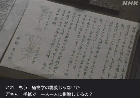 NHK朝ドラ『らんまん』感想　第96回 (第20週　月曜日)