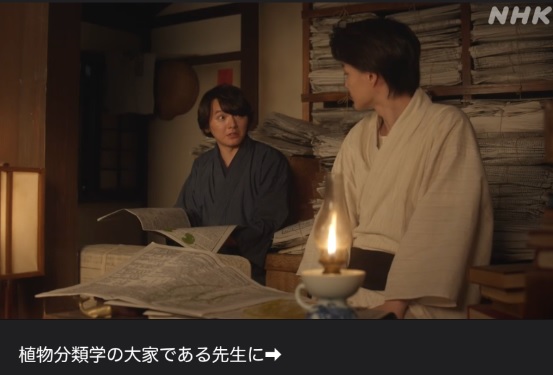 NHK朝ドラ『らんまん』感想　第117回 (第24週　火曜日)