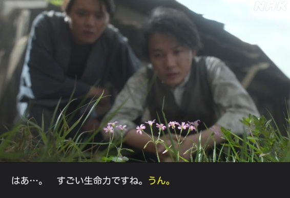 NHK朝ドラ『らんまん』感想 第124回 (第25週 木曜日)